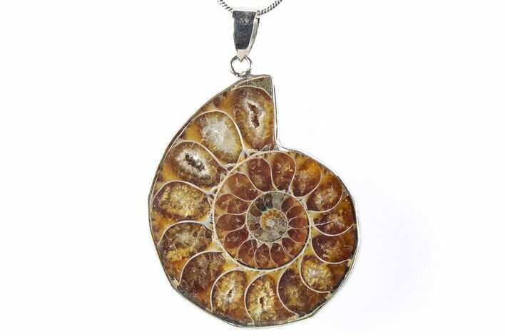 Fossil Ammonite Pendant - Million Years Old #290150